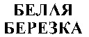 belaya berezka