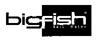 bigfish Salt Water