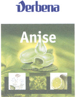 Verbena Anise