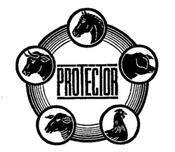 PROTECTOR