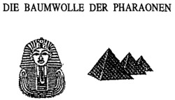 DIE BAUMWOLLE DER PHARAONEN
