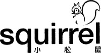 squirrel