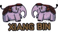 XIANG BIN