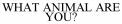 WHAT ANIMAL ARE YOU?