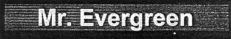 Mr. Evergreen