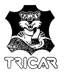 TRICAR