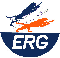 ERG