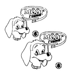 MÔÔI l'animal