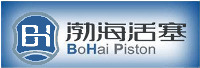 BH BoHai Piston