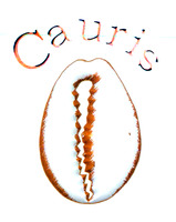 Cauris