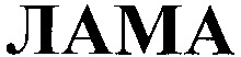 LAMA