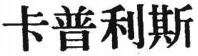 KA PU LI SI.