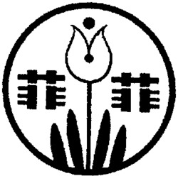 FEI FEI
