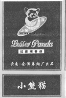 Lesser Panda