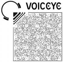 VOICEYE