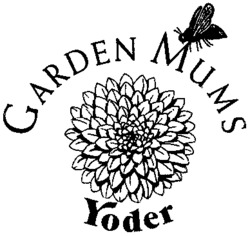 GARDEN MUMS Yoder