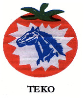 TEKO
