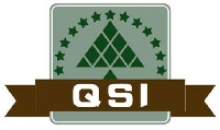QSI