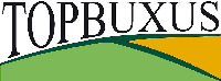 TOPBUXUS