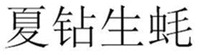 XIA ZUAN SHENG HAO