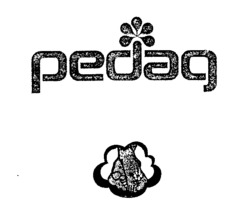 pedag