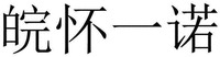 wan huai yi nuo