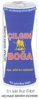 CILGIN BOGA