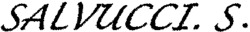 SALVUCCI. S.