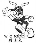wild rabbit