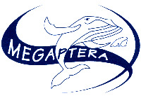 MEGAPTERA