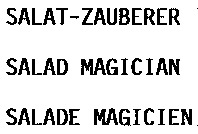 SALAT-ZAUBERER SALAD MAGICIAN SALADE MAGICIEN