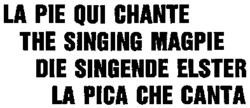 LA PIE QUI CHANTE THE SINGING MAGPIE DIE SINGENDE ELSTER