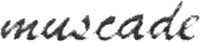 muscade