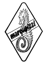 marcopizzi