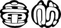  TONG ZHEN 