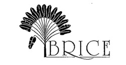 BRICE