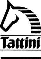 Tattini