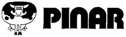 PINAR