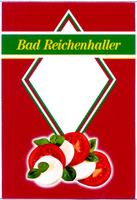 Bad Reichenhaller