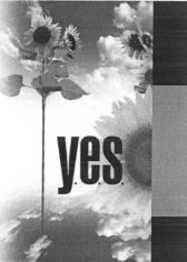 y.e.s.