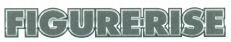 FIGURE-RISE
