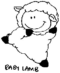 BABY LAMB