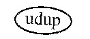 udup