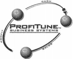PROFITUNE BUSINESS SYSTEMS