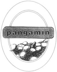 pangamin