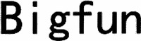 Bigfun