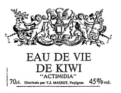 EAU DE VIE DE KIWI