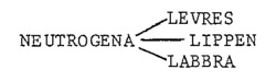 NEUTROGENA LEVRES LIPPEN LABBRA