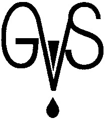 GVS