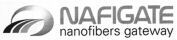 NAFIGATE nanofibers gateway